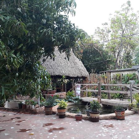 El Chac Mool Bed & Breakfast ซานตา เอเลนา ภายนอก รูปภาพ