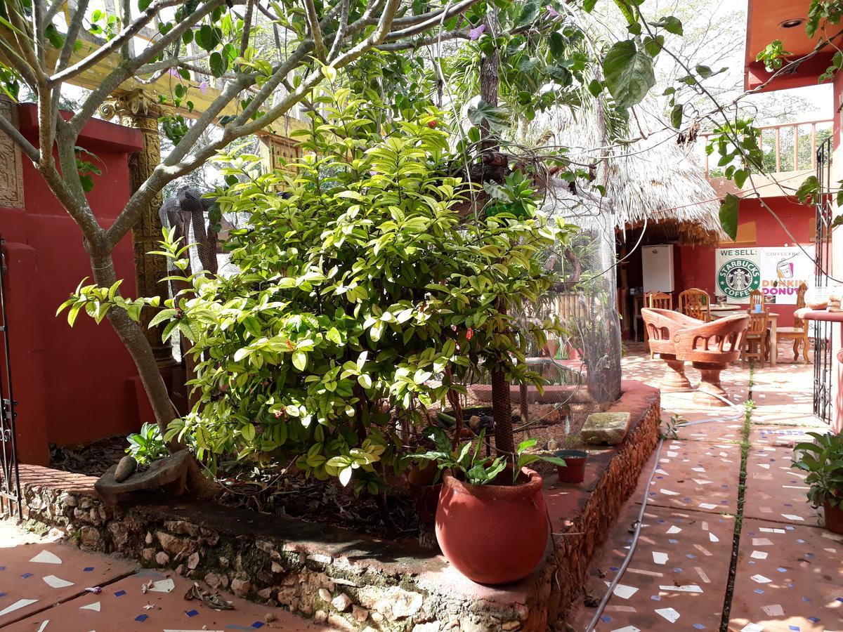 El Chac Mool Bed & Breakfast ซานตา เอเลนา ภายนอก รูปภาพ