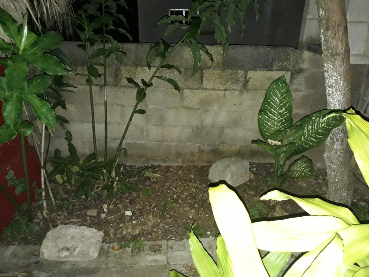 El Chac Mool Bed & Breakfast ซานตา เอเลนา ภายนอก รูปภาพ
