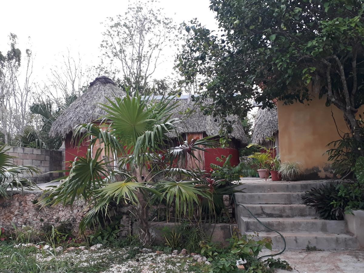 El Chac Mool Bed & Breakfast ซานตา เอเลนา ภายนอก รูปภาพ