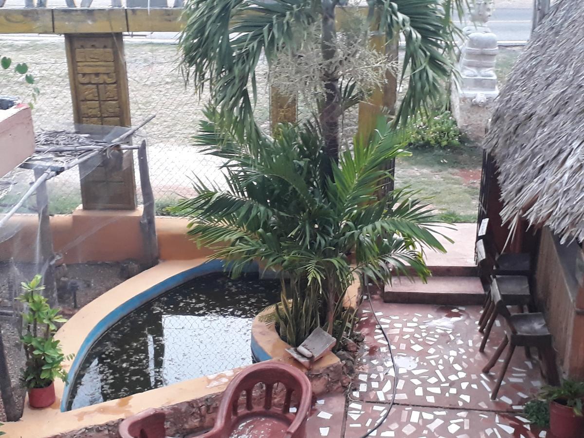 El Chac Mool Bed & Breakfast ซานตา เอเลนา ภายนอก รูปภาพ