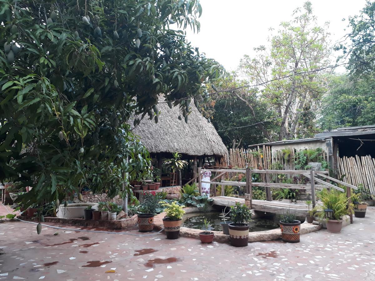 El Chac Mool Bed & Breakfast ซานตา เอเลนา ภายนอก รูปภาพ